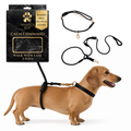 Hands-Free No-Pull Dog Leash