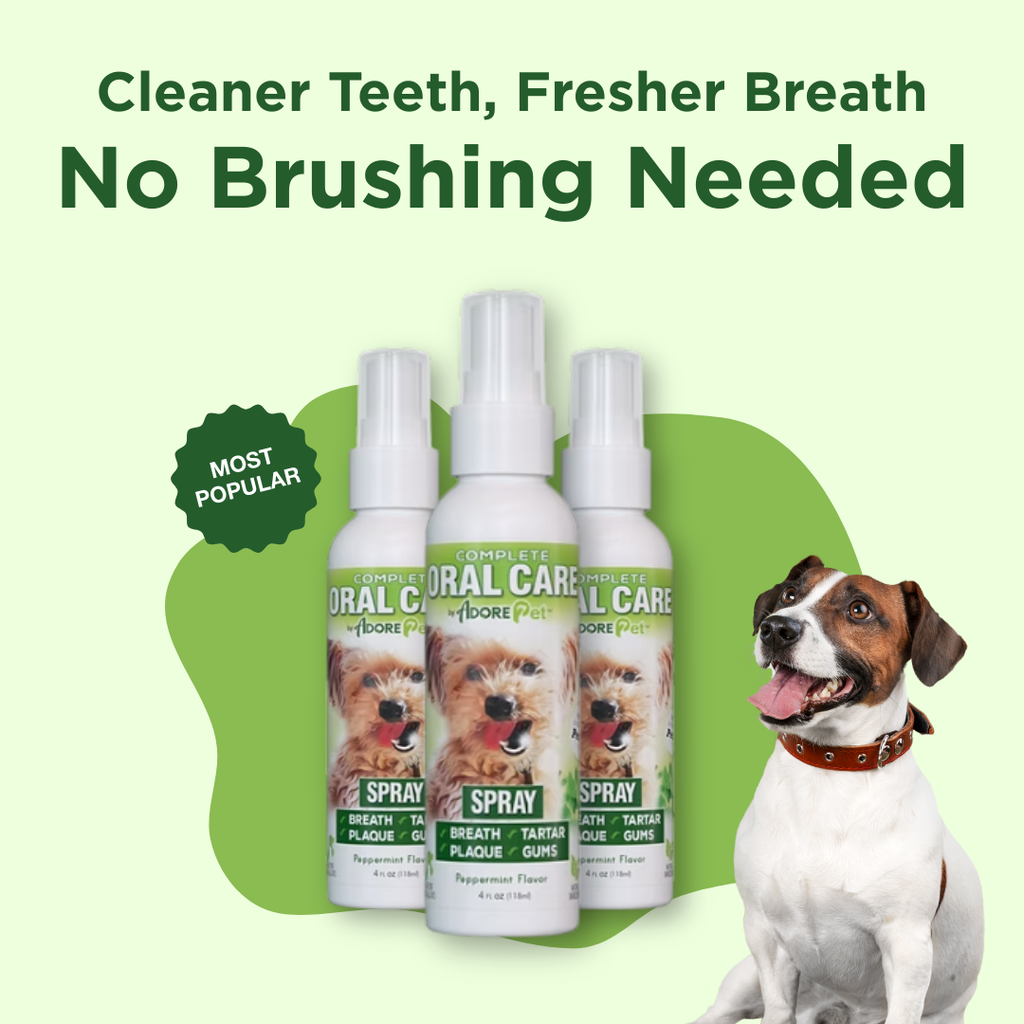 Oral Care Spray for Dogs & Cats — Fresh Breath Formula
