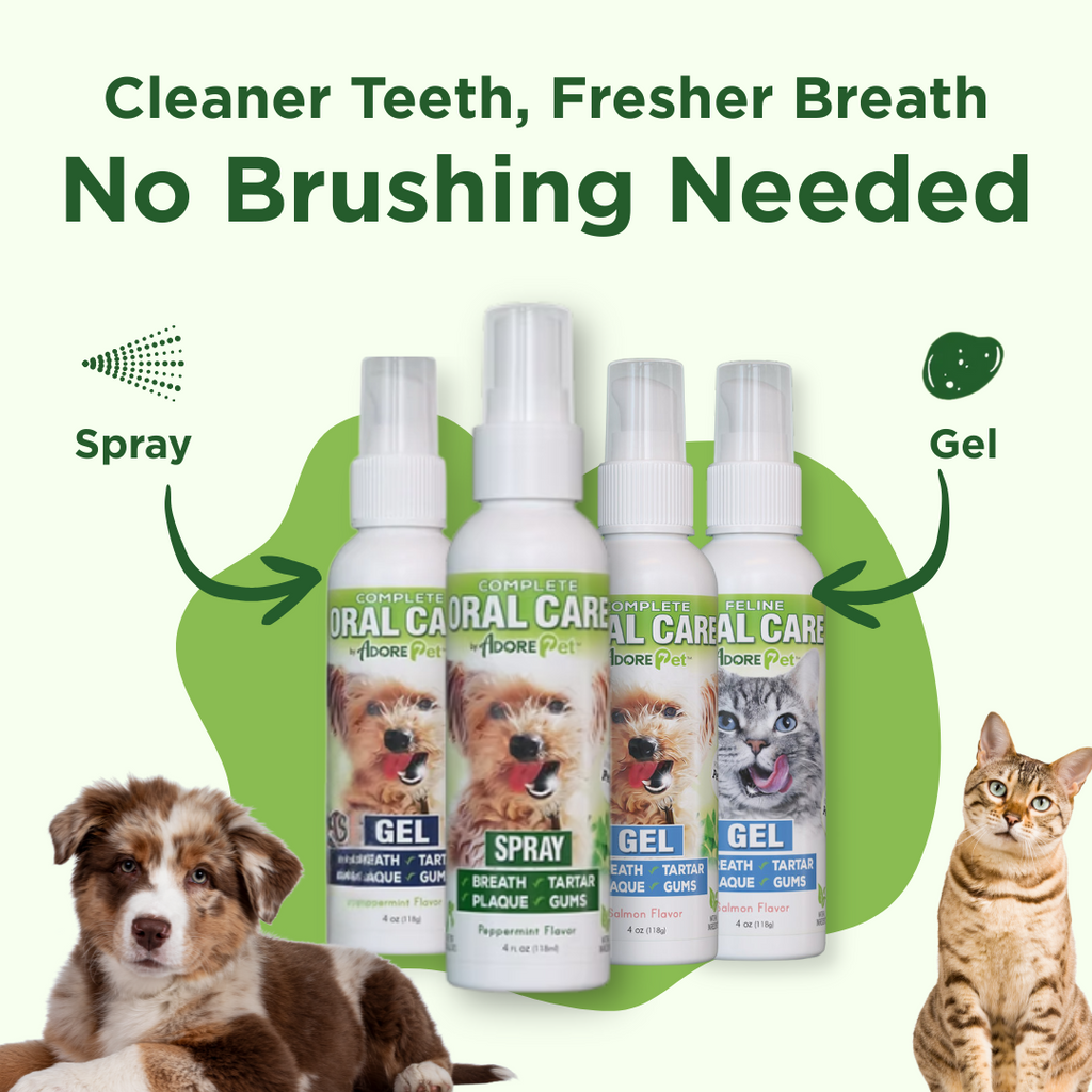 Oral Care Spray for Dogs & Cats — Fresh Breath Formula