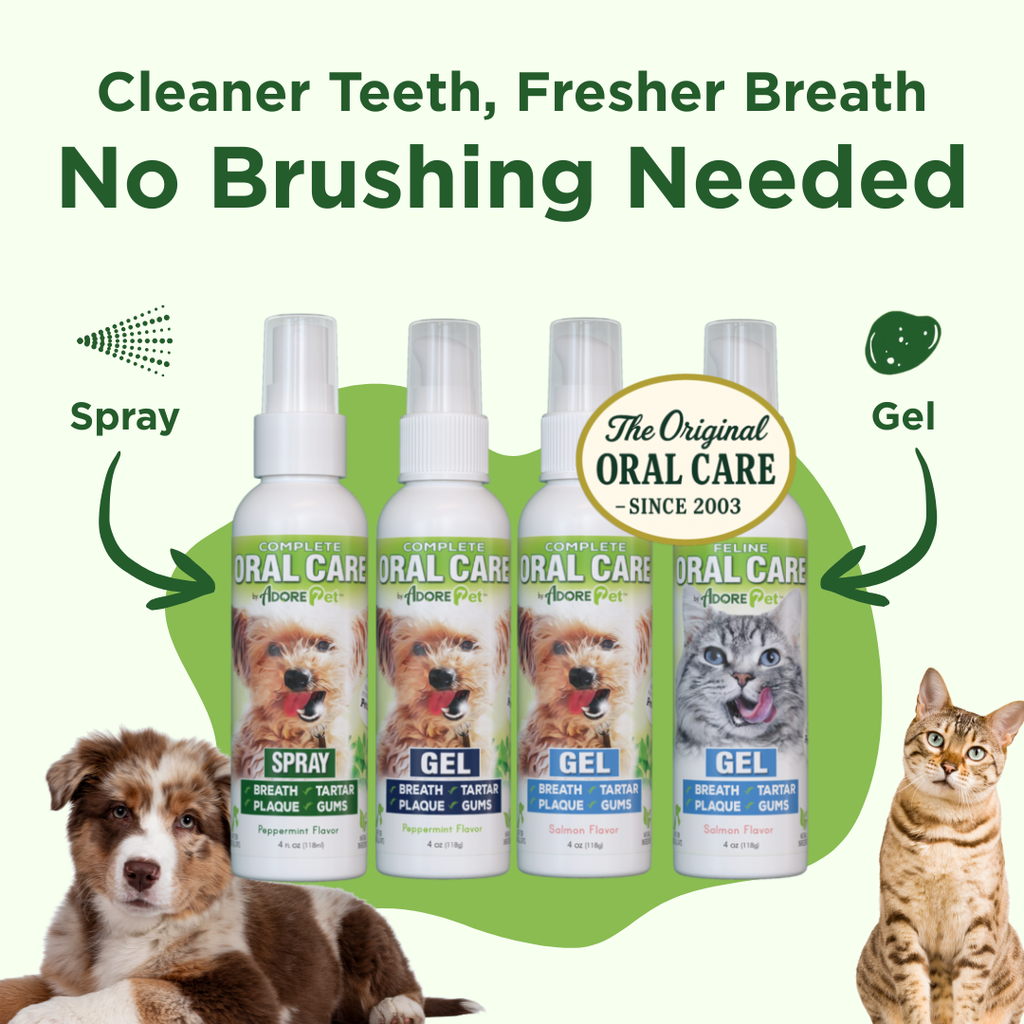Oral Care Spray for Dogs & Cats — Fresh Breath Formula