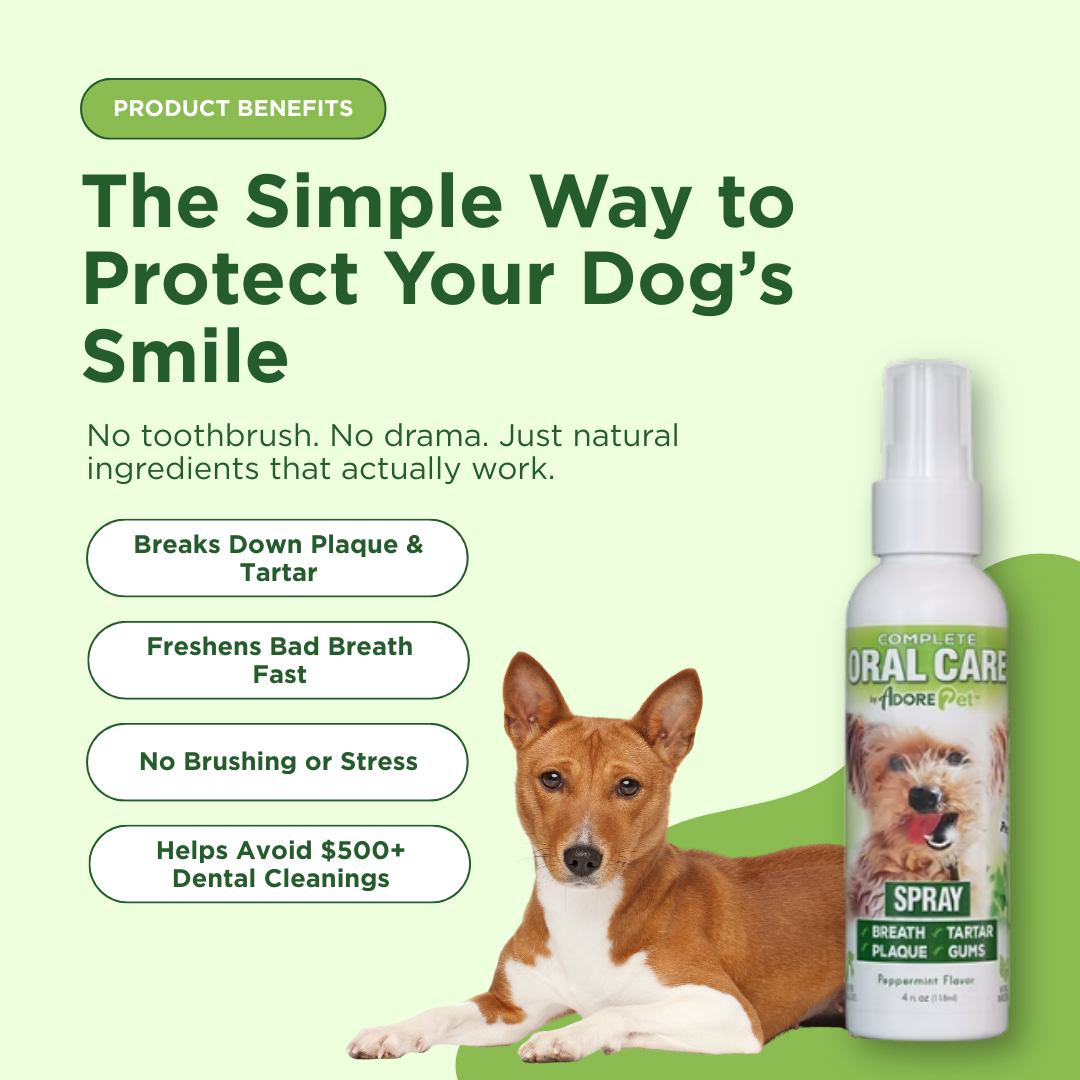 Oral Care Spray for Dogs & Cats — Fresh Breath Formula