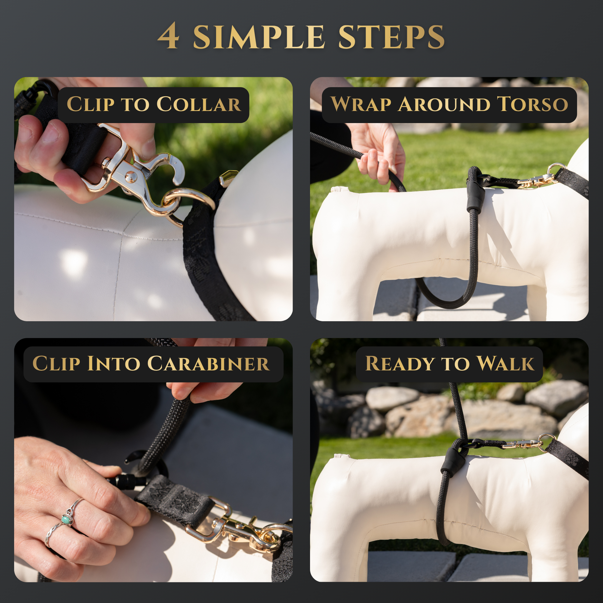Hands-Free No-Pull Dog Leash