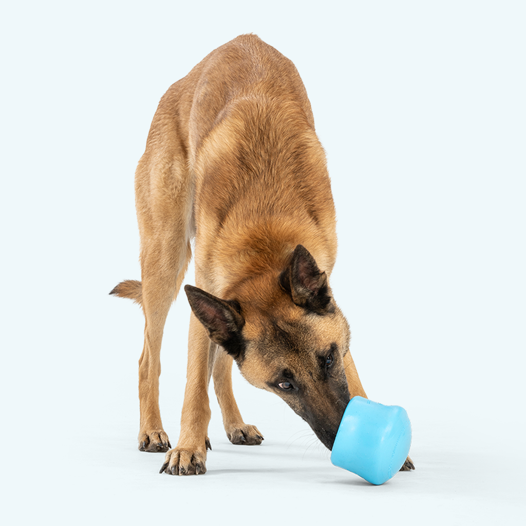 Toppl Interactive Treat Dispensing Toy for Dogs