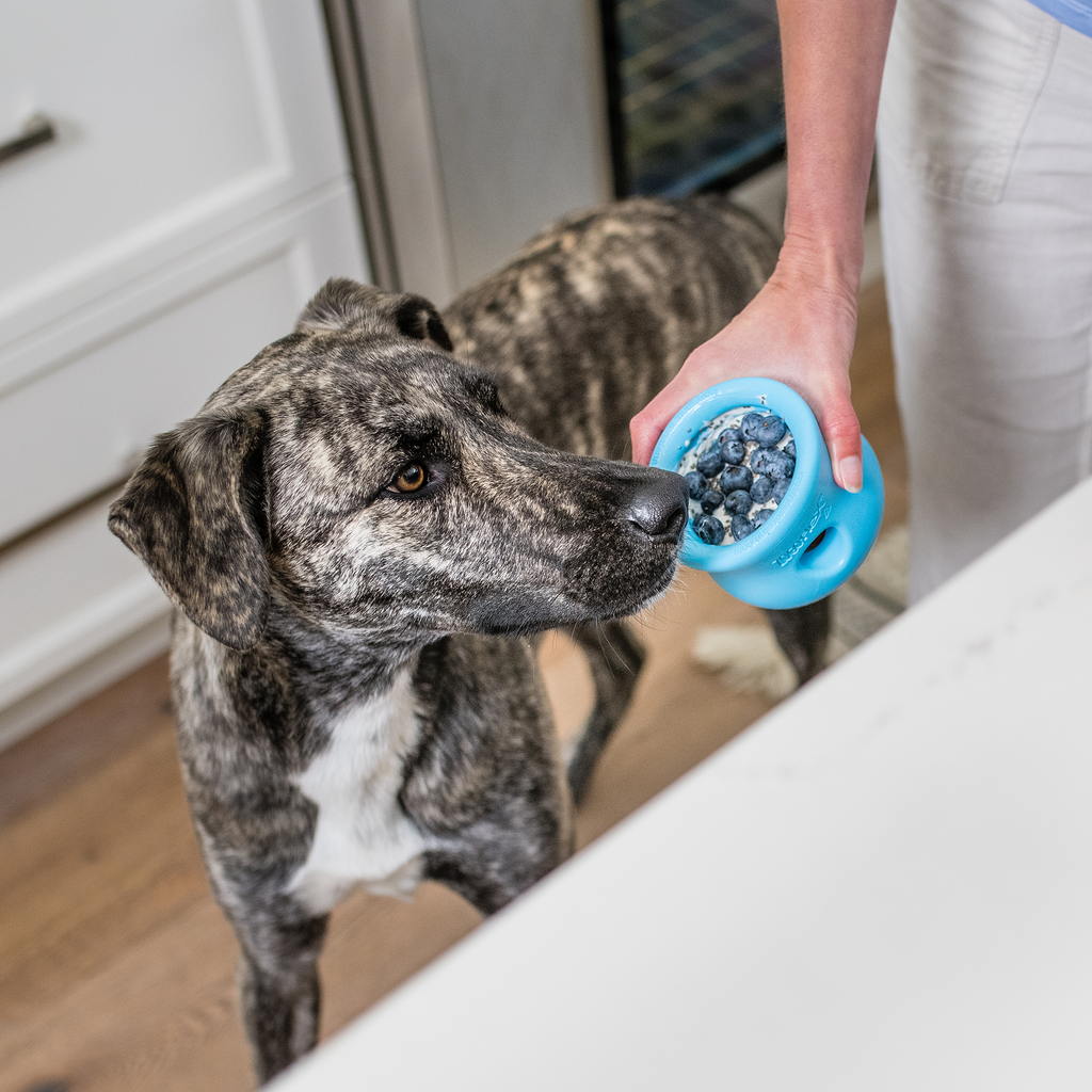 Toppl Interactive Treat Dispensing Toy for Dogs