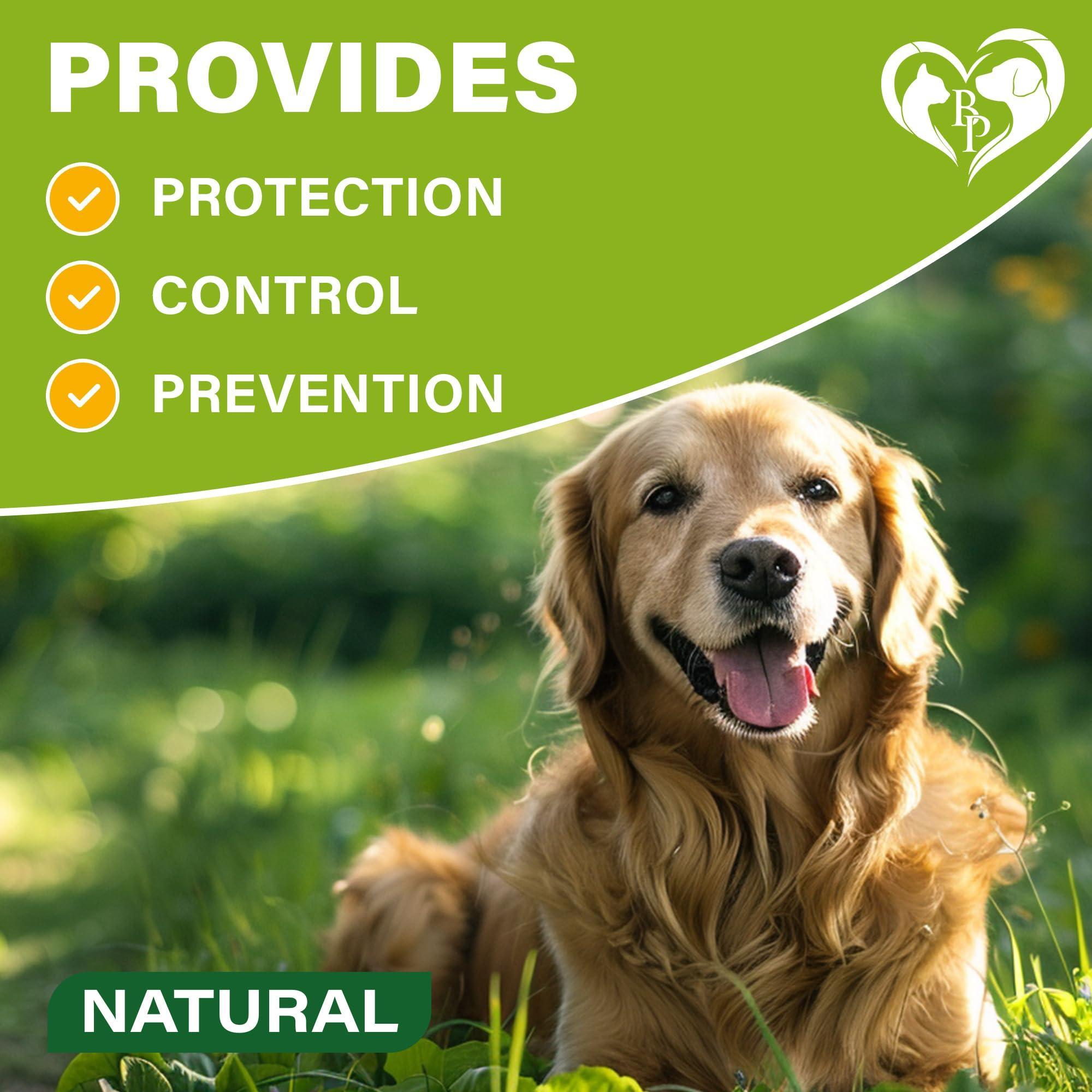 Flea & Tick Collar for Dogs — 6-Month Protection, 2-Pack