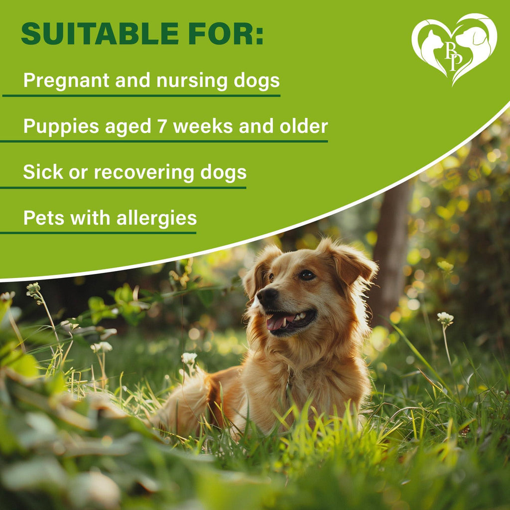 Flea & Tick Collar for Dogs — 6-Month Protection, 2-Pack