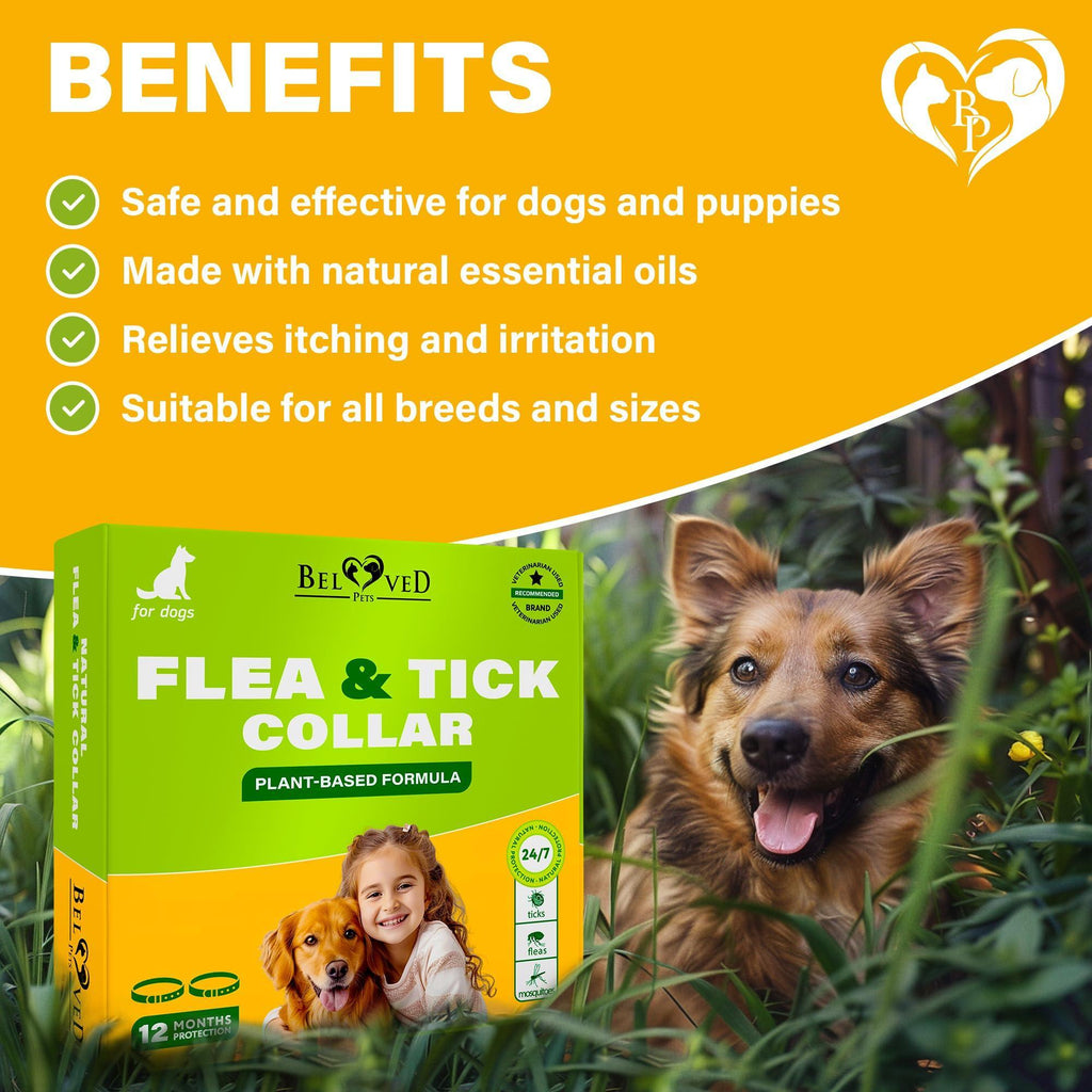 Flea & Tick Collar for Dogs — 6-Month Protection, 2-Pack