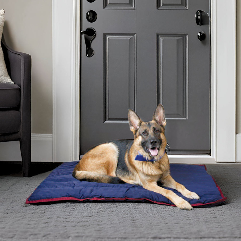Washable Dog Pillow — For Crates, Carriers & Lounging