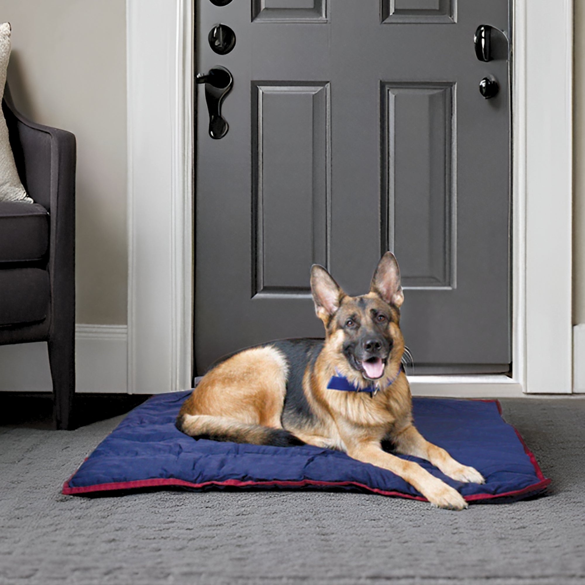 Washable Dog Pillow — For Crates, Carriers & Lounging