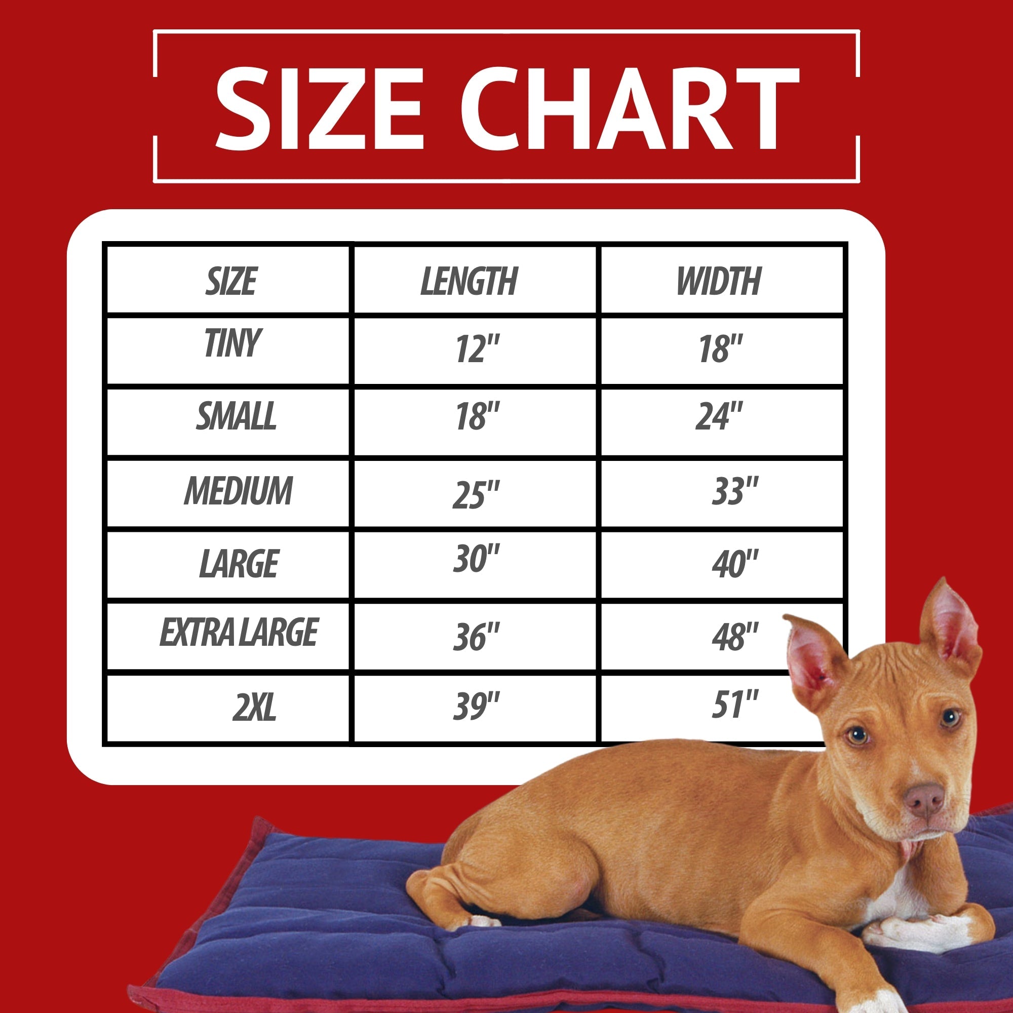 Washable Dog Pillow — For Crates, Carriers & Lounging