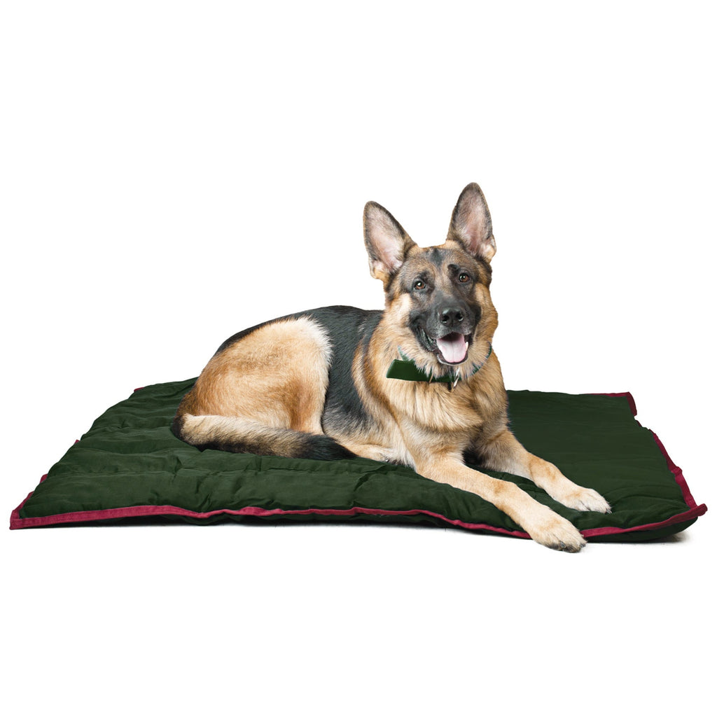 Washable Dog Pillow — For Crates, Carriers & Lounging