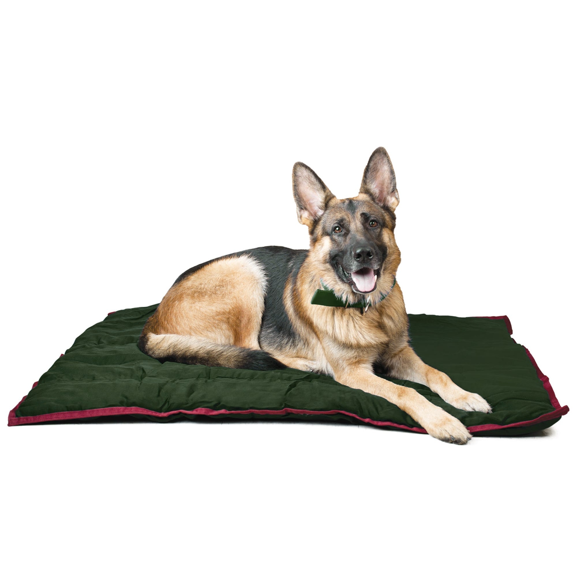 Washable Dog Pillow — For Crates, Carriers & Lounging