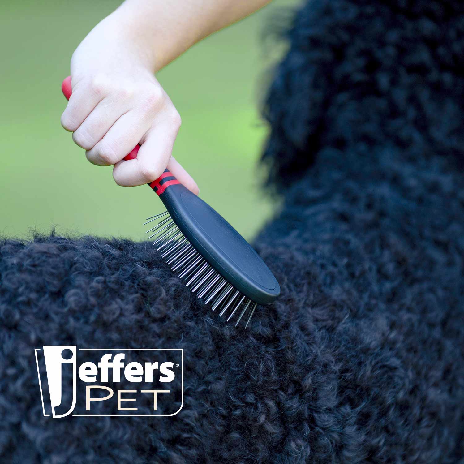 Pin Brush for Dogs & Cats