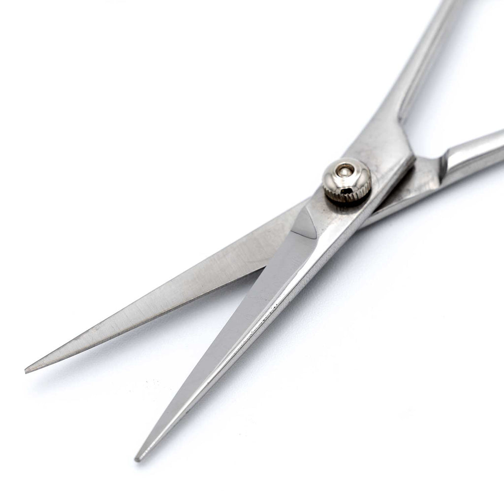 Professional Stainless Steel Grooming Shears