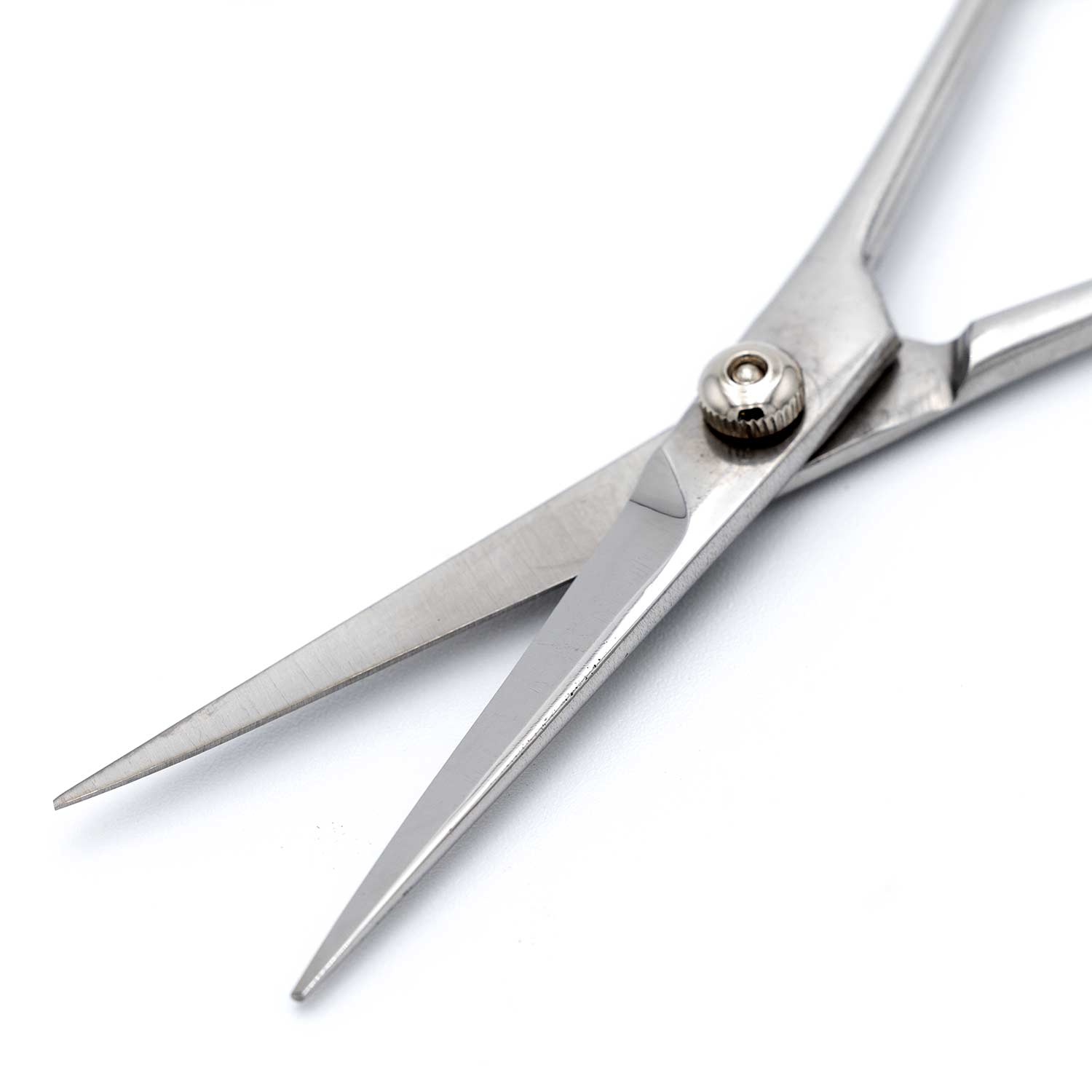 Professional Stainless Steel Grooming Shears