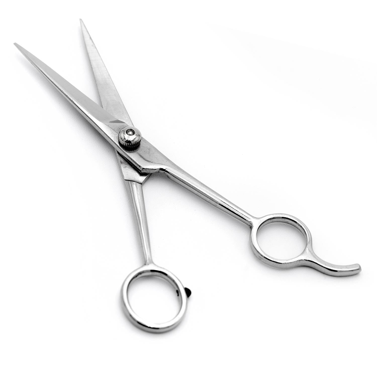 Professional Stainless Steel Grooming Shears