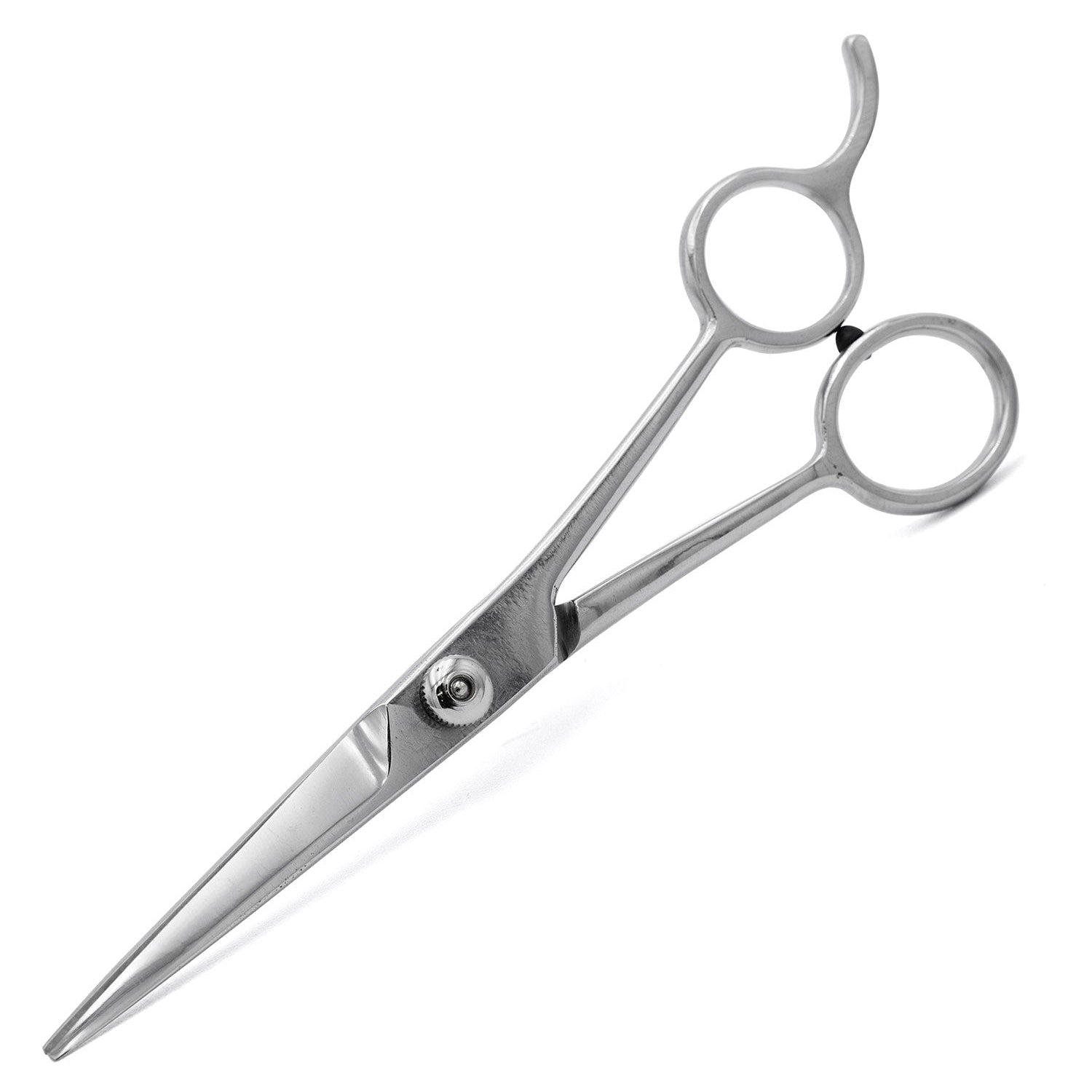 Professional Stainless Steel Grooming Shears