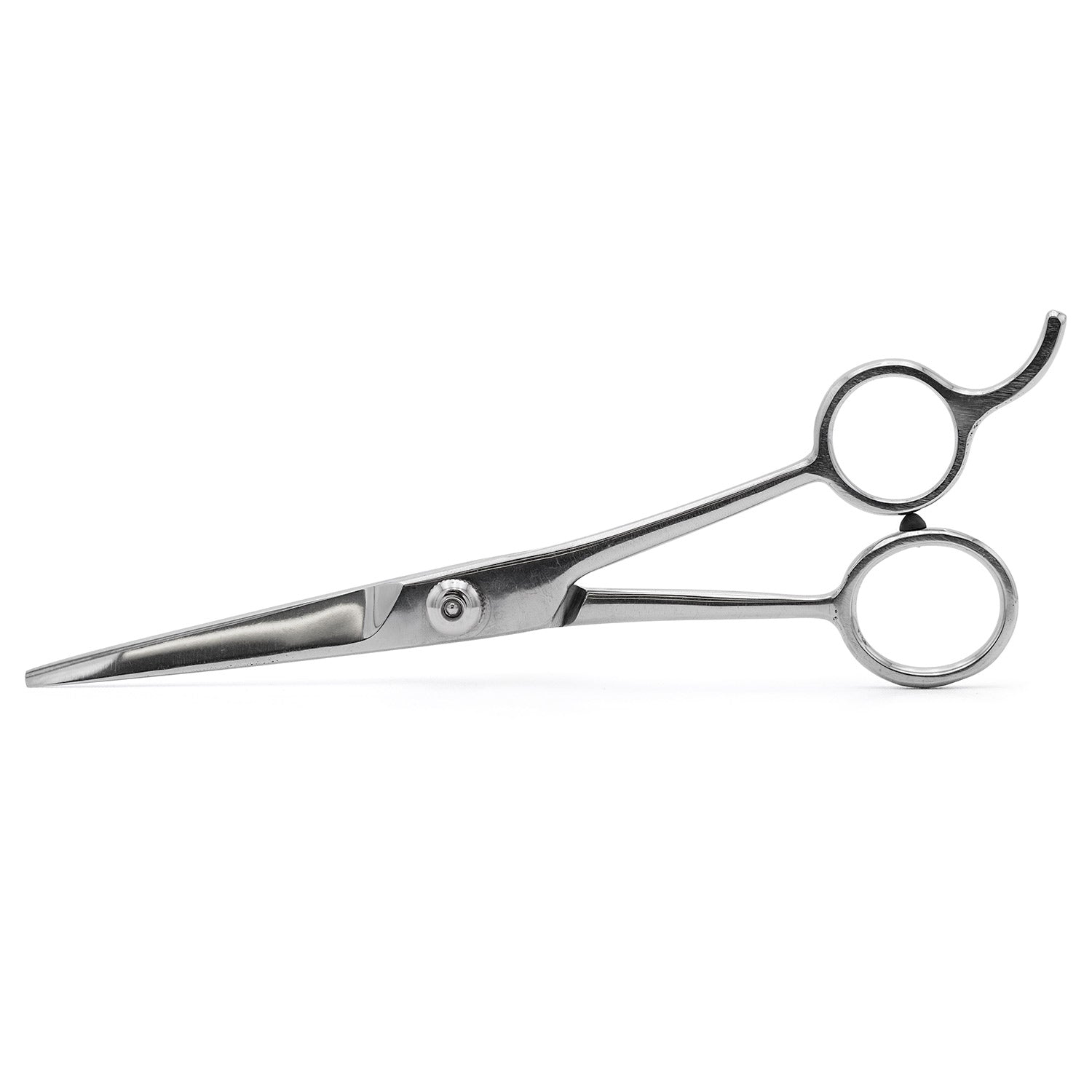 Professional Stainless Steel Grooming Shears