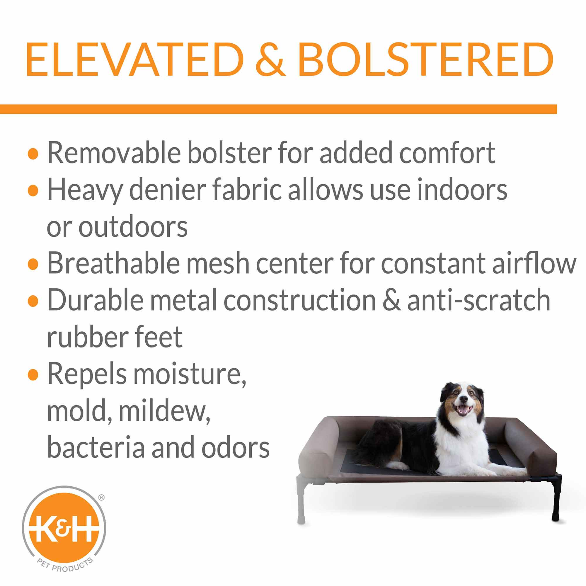 Elevated Pet Cot with Bolster — Indoor & Outdoor Dog Bed