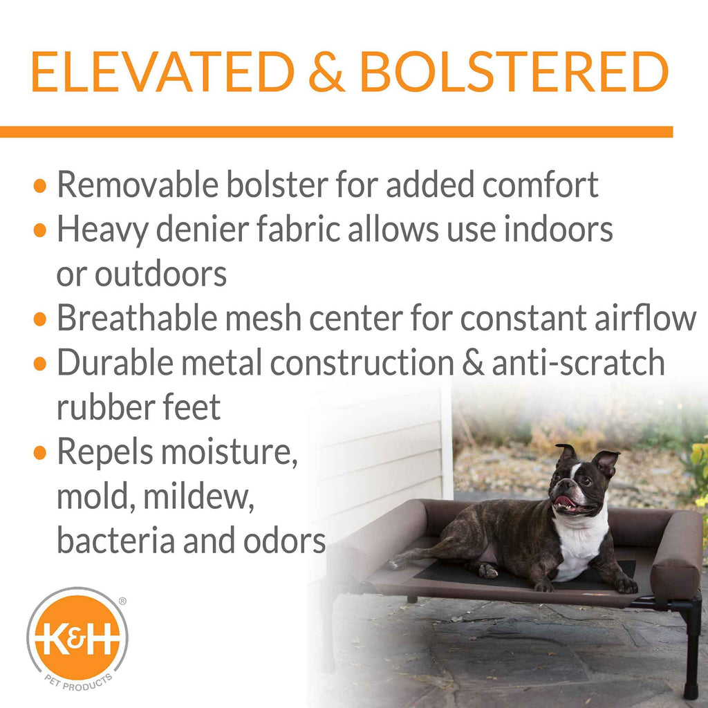 Elevated Pet Cot with Bolster — Indoor & Outdoor Dog Bed