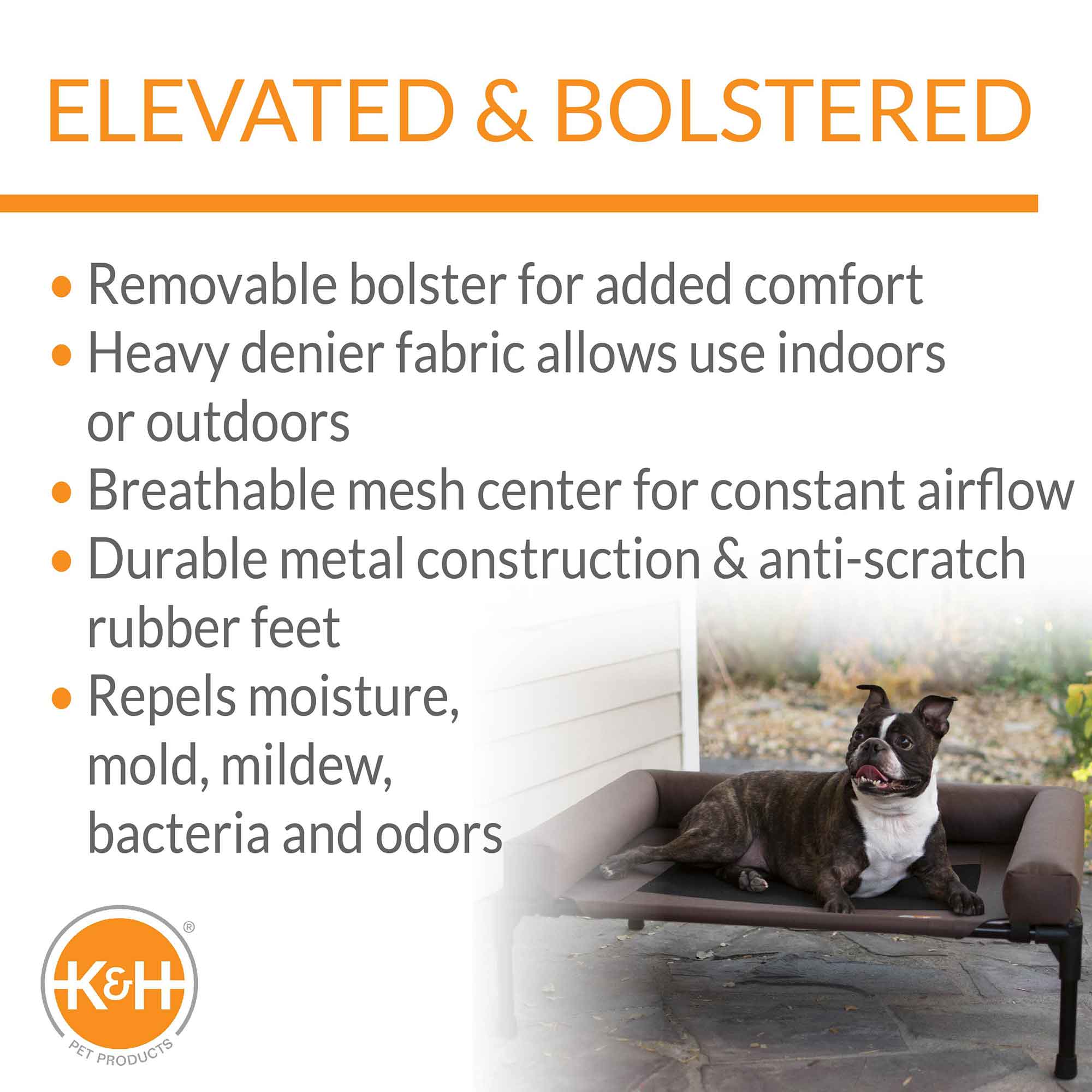 Elevated Pet Cot with Bolster — Indoor & Outdoor Dog Bed