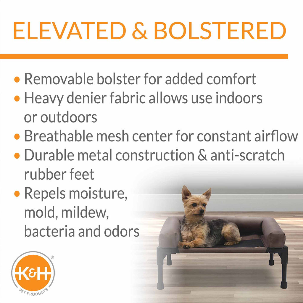 Elevated Pet Cot with Bolster — Indoor & Outdoor Dog Bed