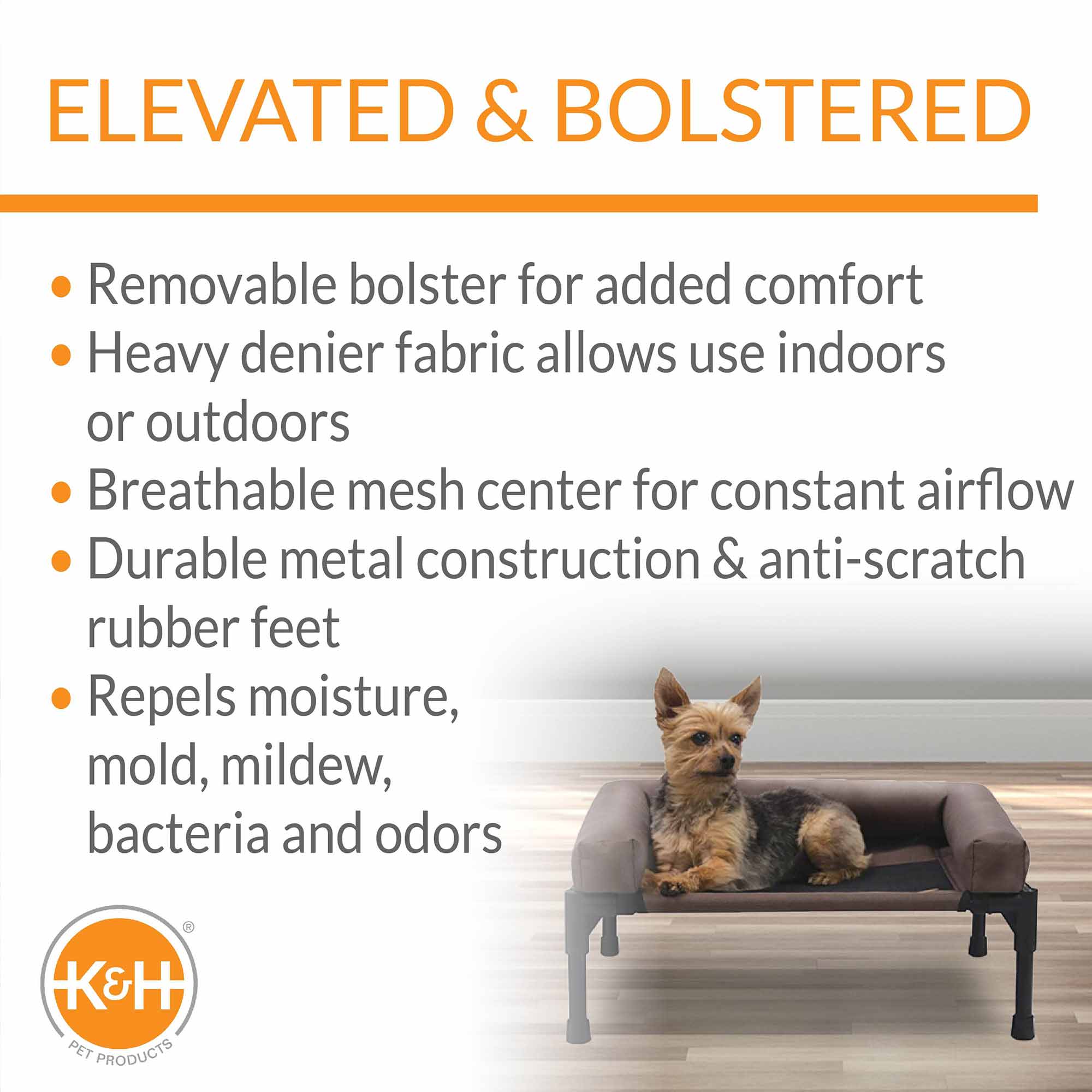 Elevated Pet Cot with Bolster — Indoor & Outdoor Dog Bed