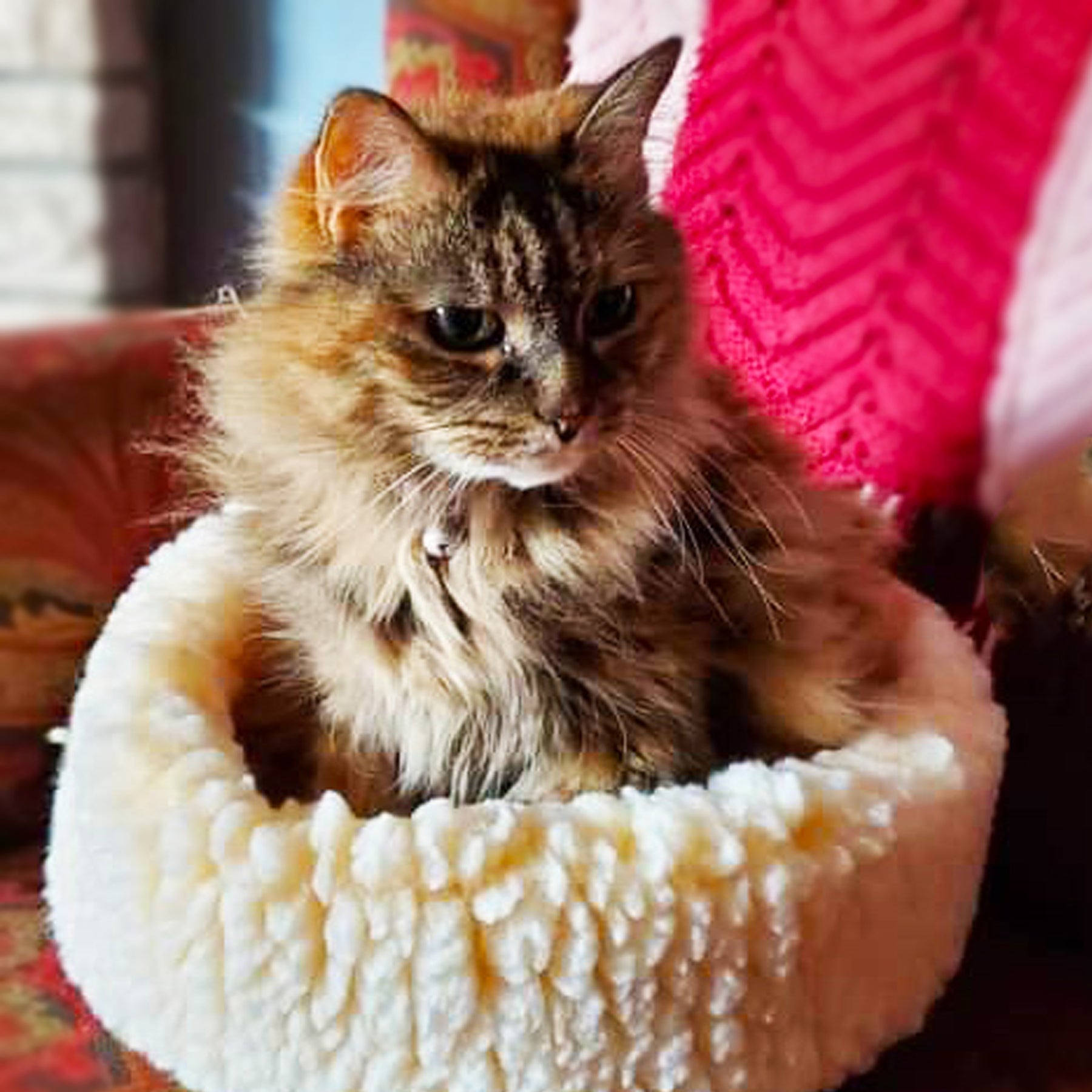 Snuggler Fleece Pet Bed for Dogs & Cats