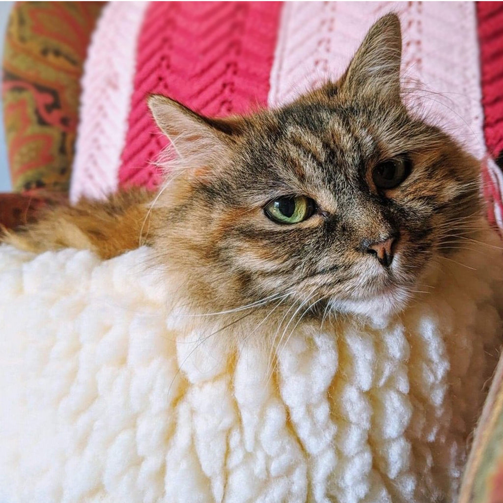 Snuggler Fleece Pet Bed for Dogs & Cats