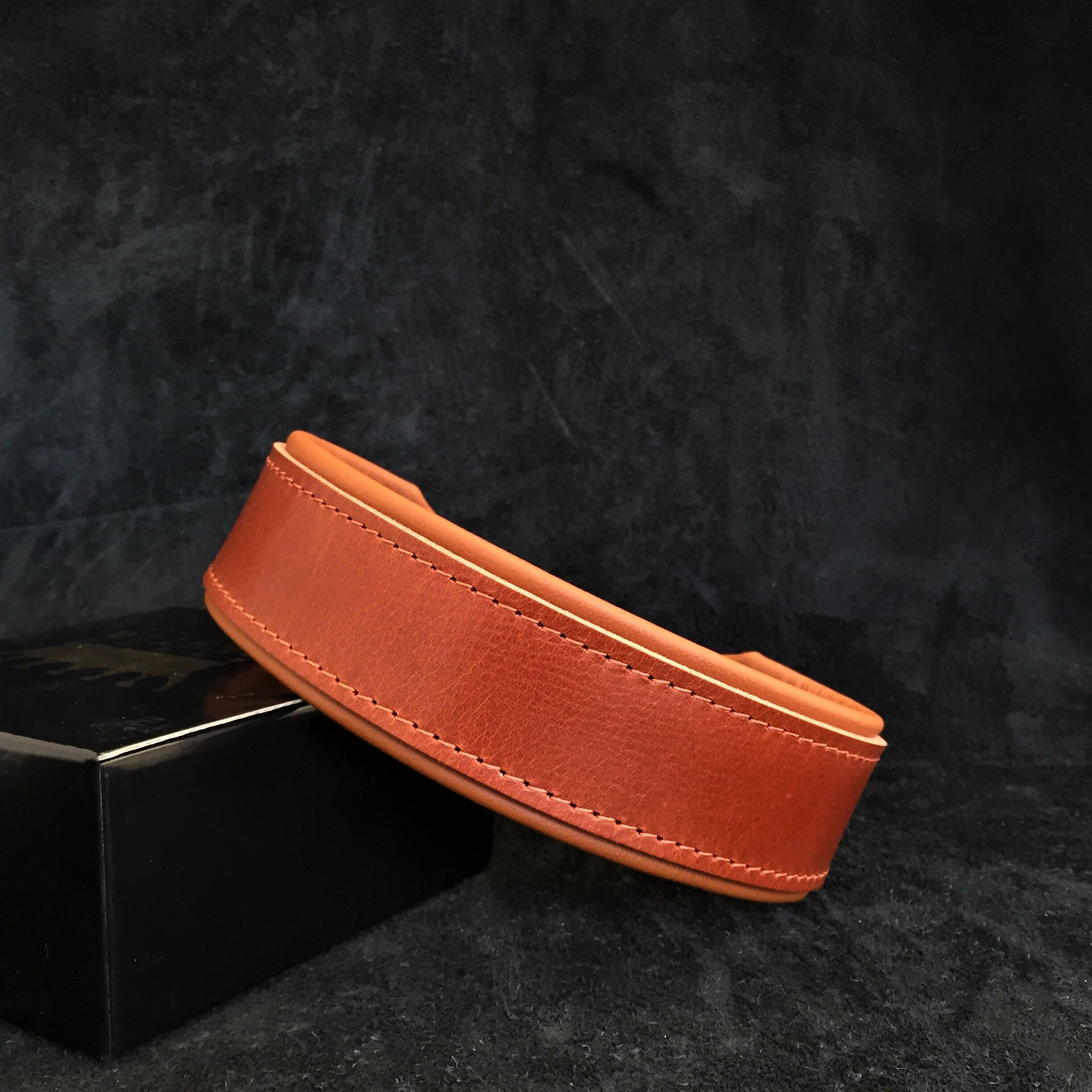Wide Dog Collar — 2-Inch Stylish Everyday Collar